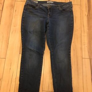 Torrid Jeans